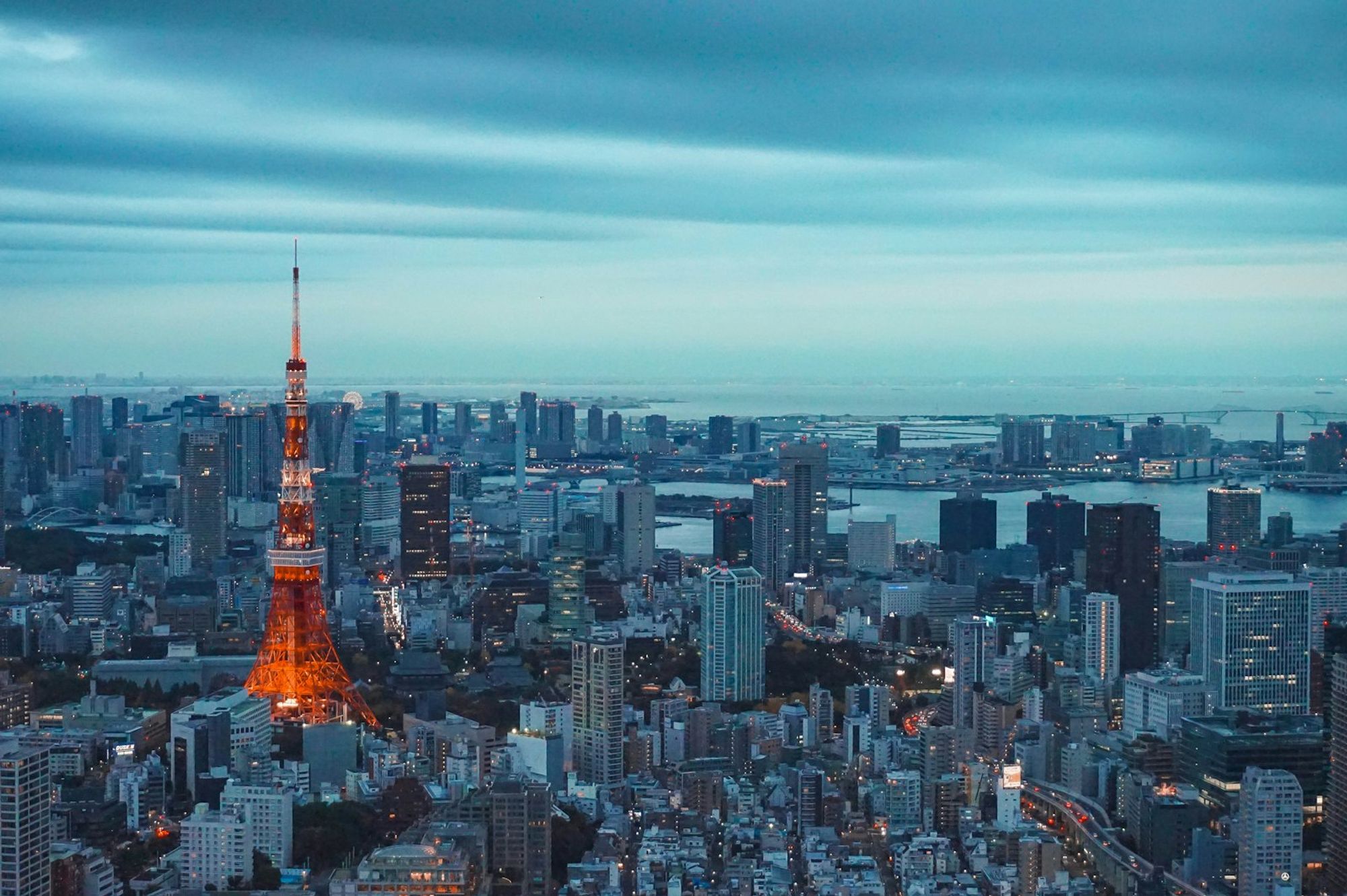 Japan Immersion Programme