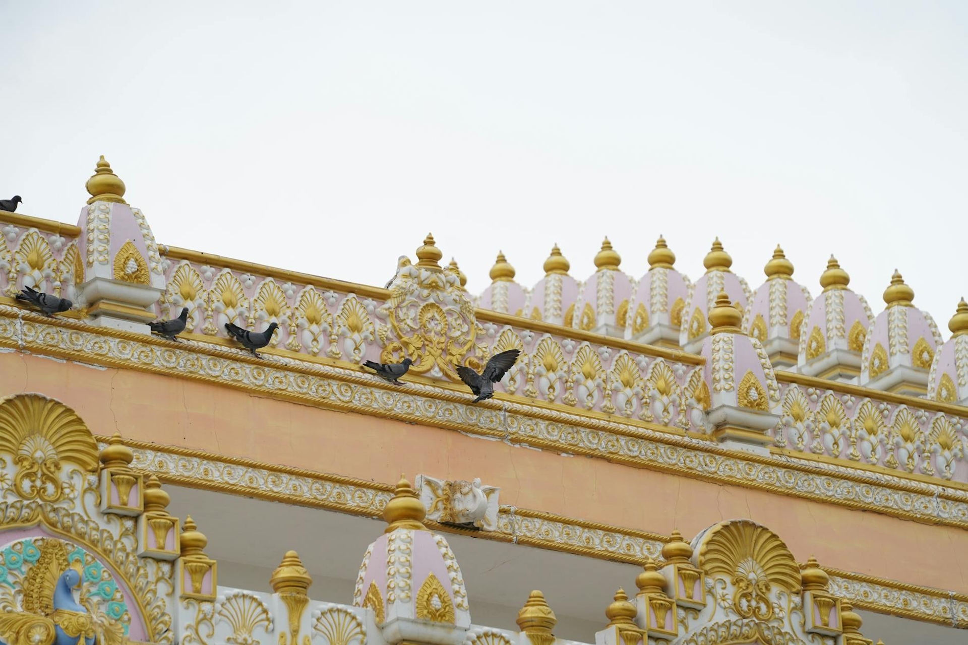 Pigeons perched along an ornate temple rooftop with gilded spires