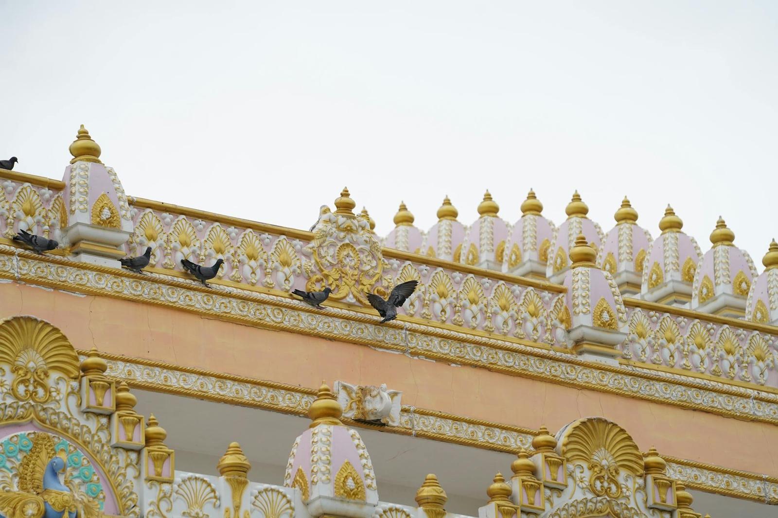 Pigeons perched along an ornate temple rooftop with gilded spires