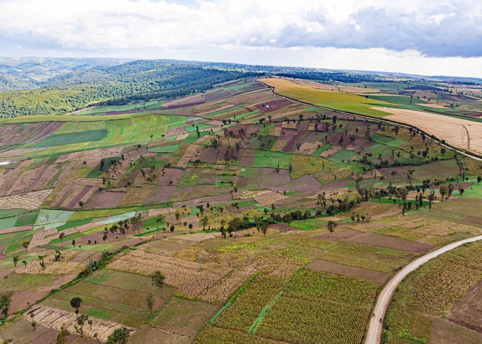 Colorful patchwork of agricultural fields in Mau Narok, Kenya, showcasing diverse crop patterns