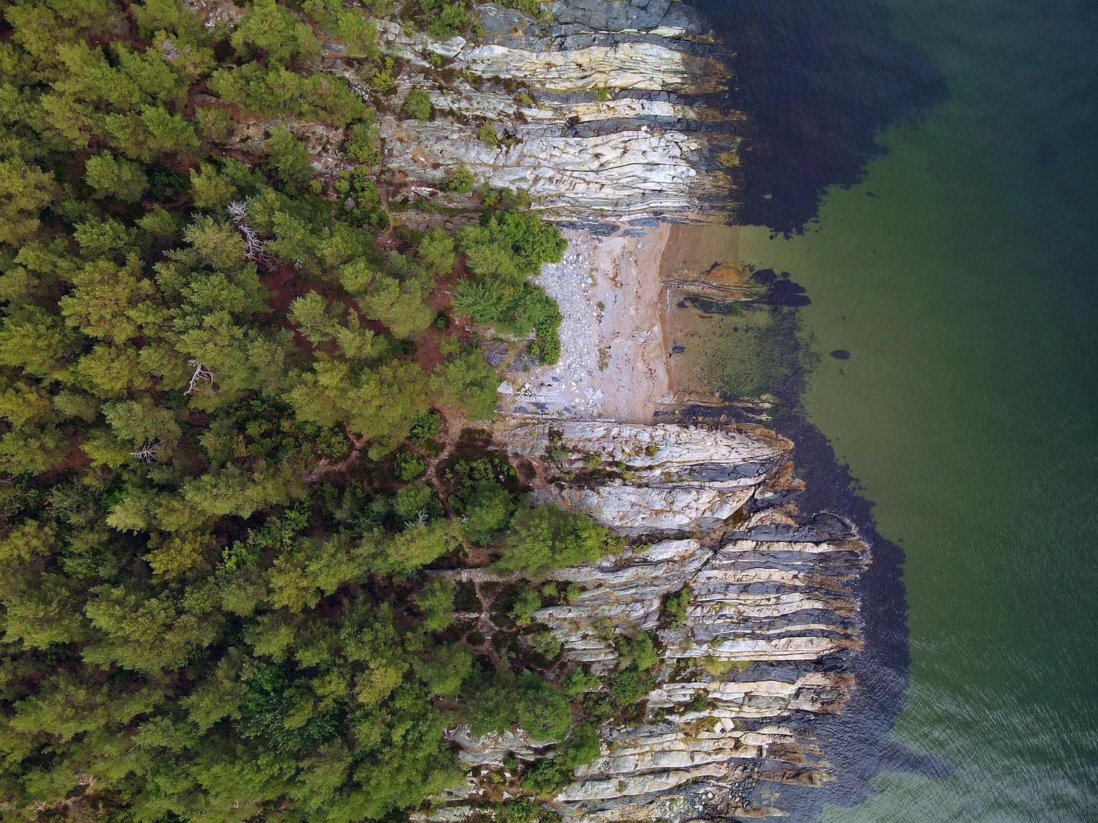 A striated rocky shoreline dropping into dark green water beside dense pine forest
