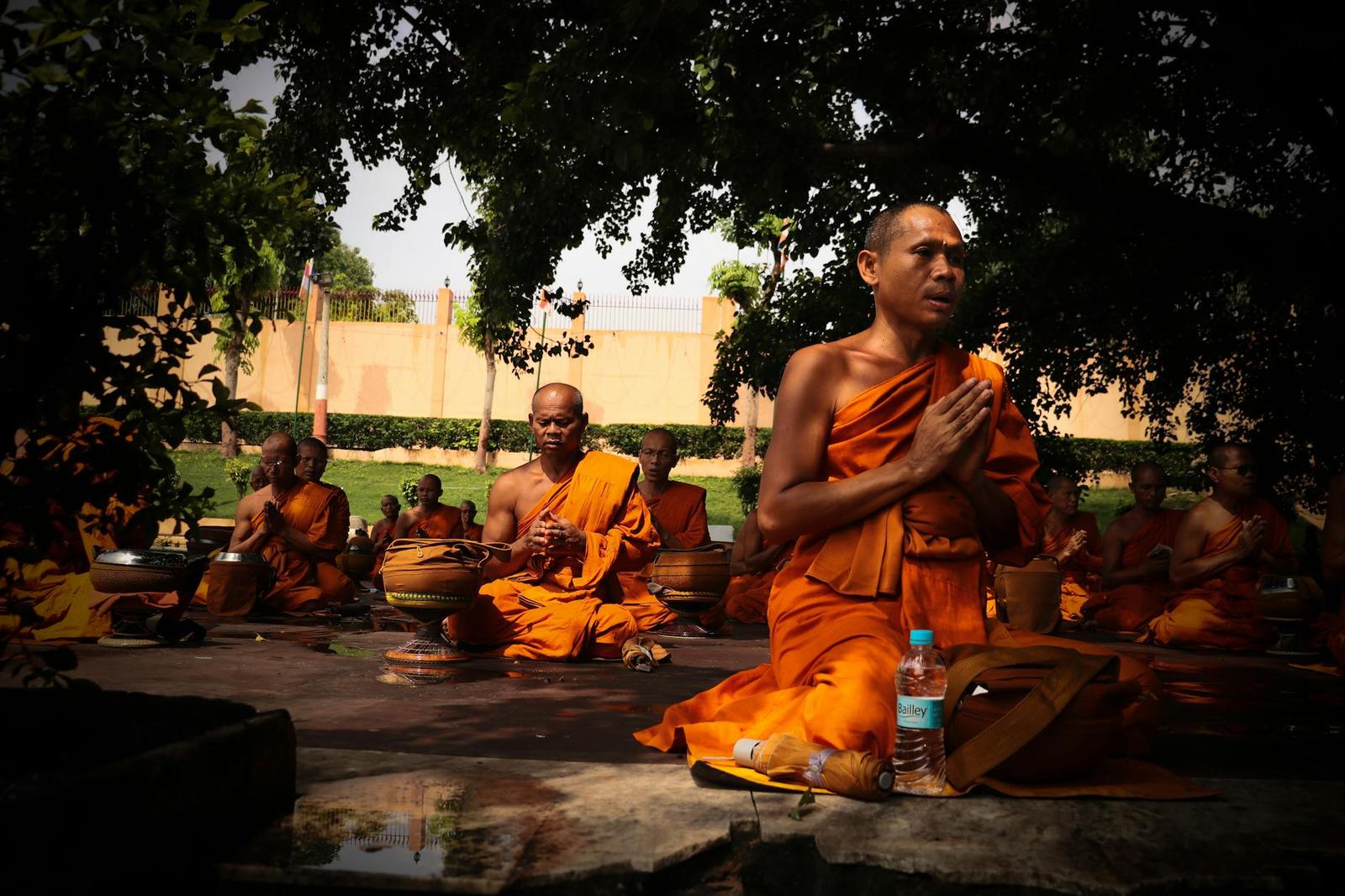 Monks in saffron robes seated in meditation beneath a shaded tree