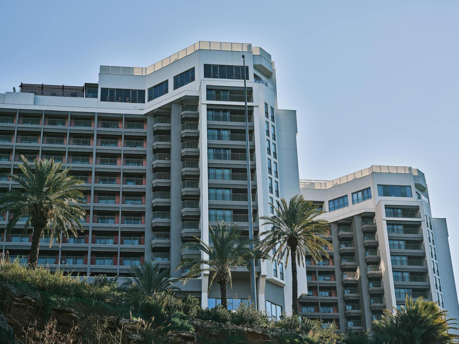 A curved white hotel tower with balconies rising above palm trees