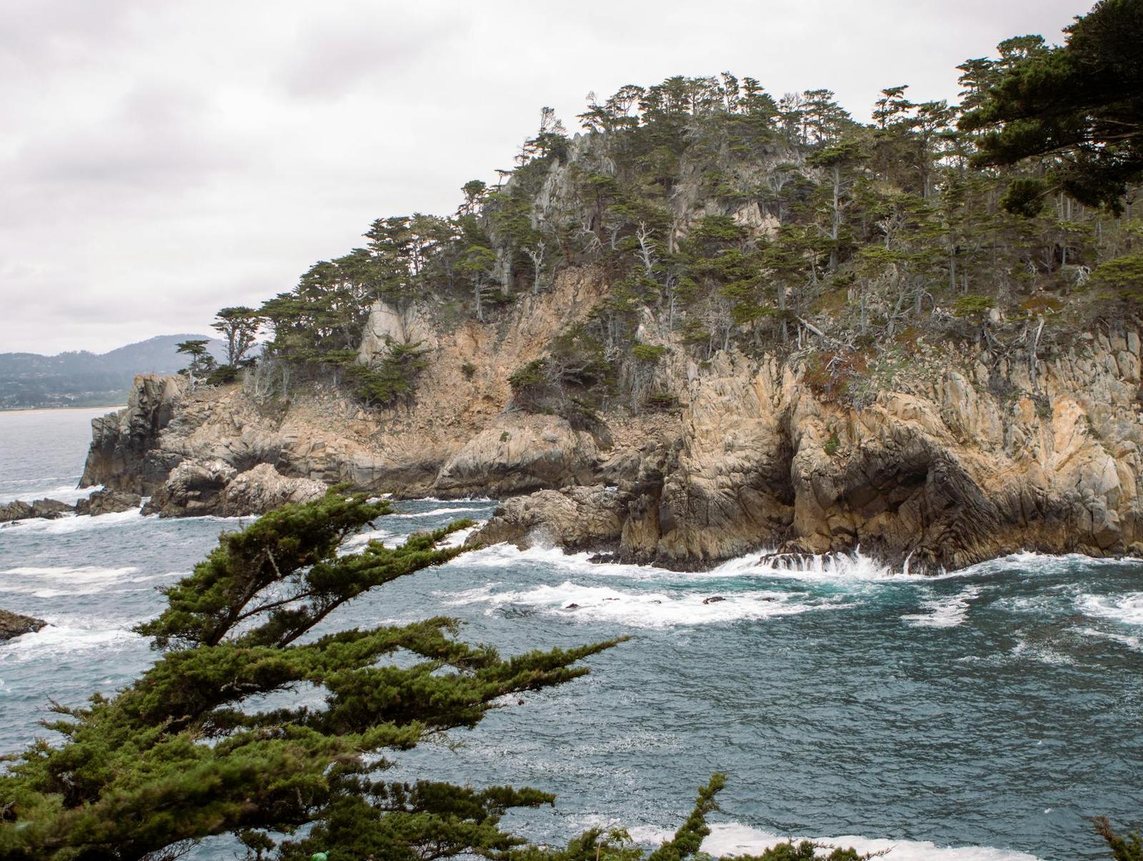 A rugged pine-covered coastal cliff with waves breaking below