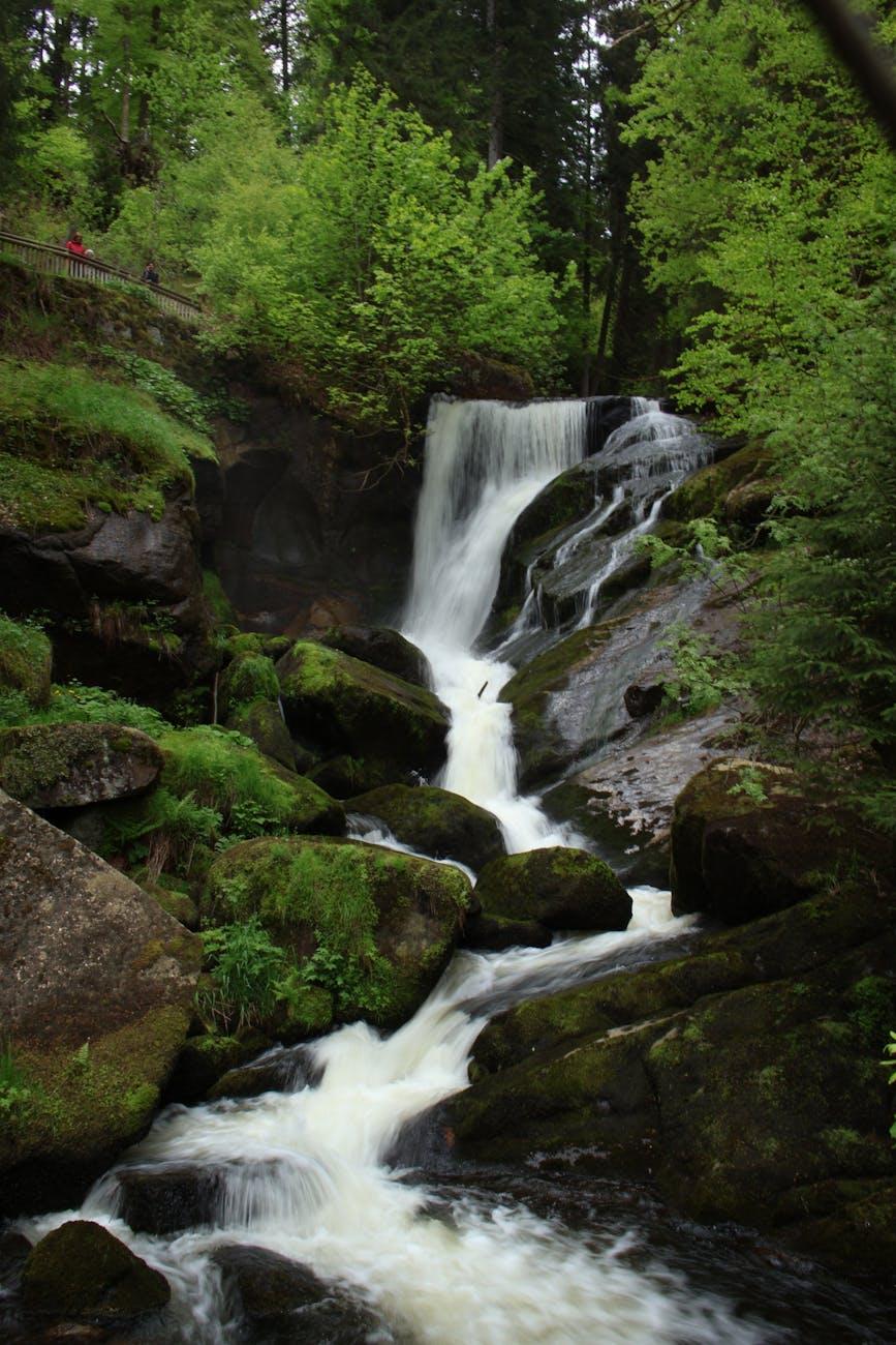 Triberg Cologne — Germany