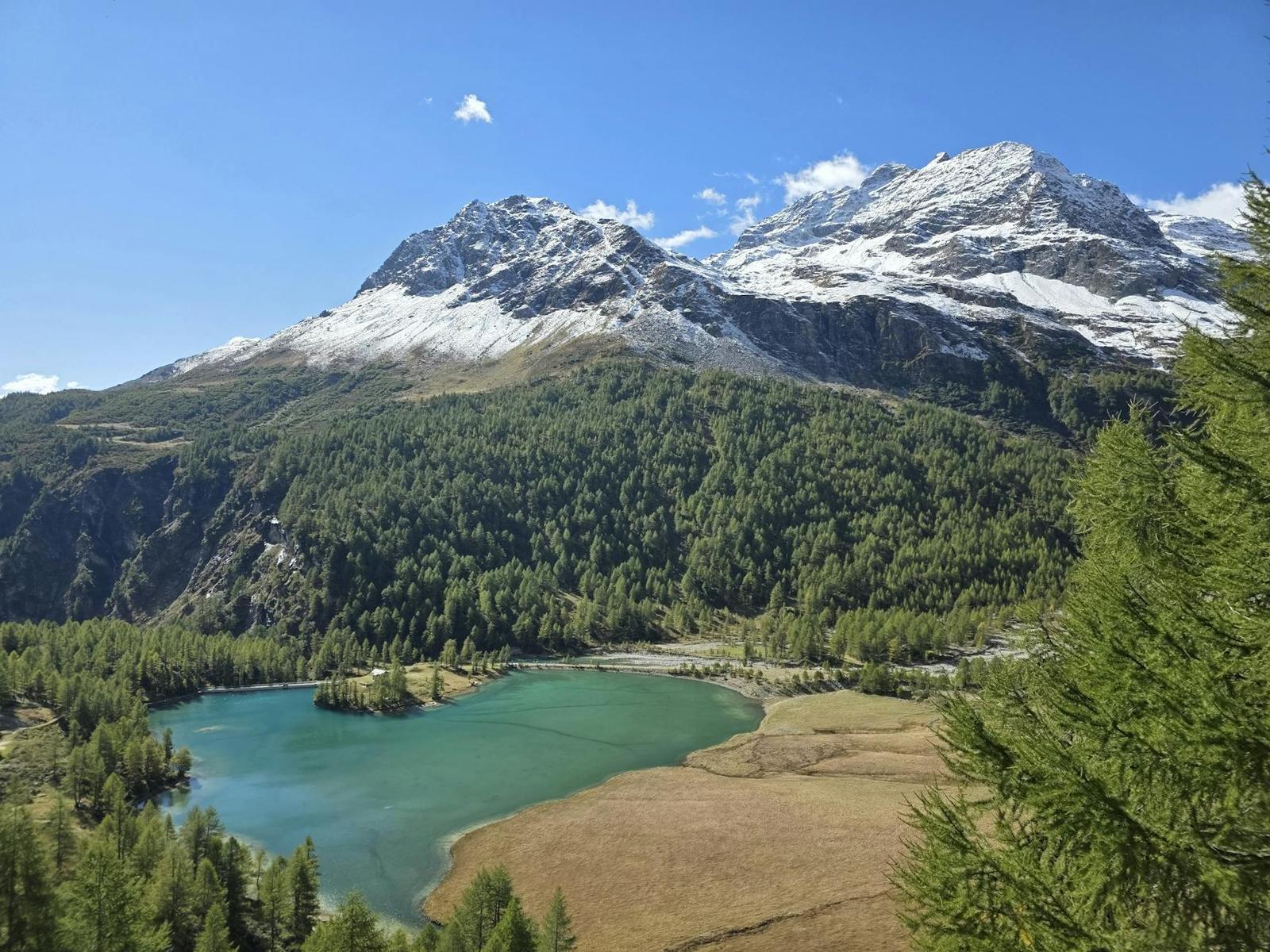 A turquoise alpine lake ringed by pine forest below snow-capped peaks