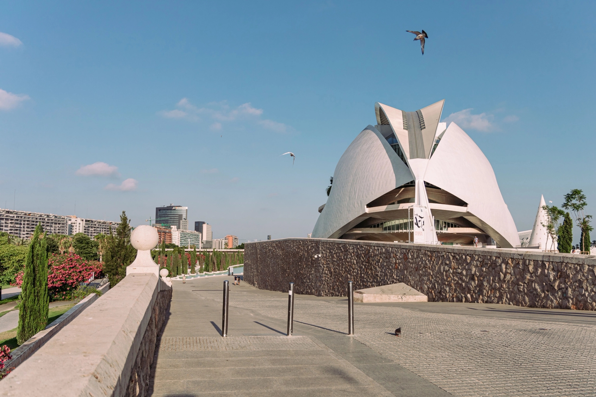 Stunning view of the Queen Sofia Palace of Arts in Valencia, Spain with modern architecture and clear skies