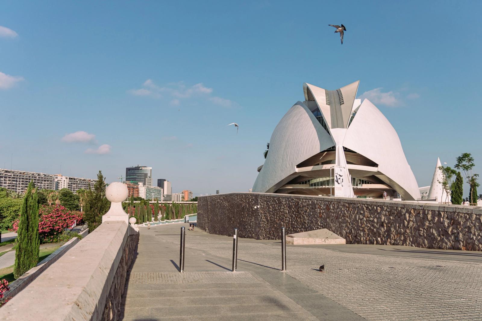 Stunning view of the Queen Sofia Palace of Arts in Valencia, Spain with modern architecture and clear skies