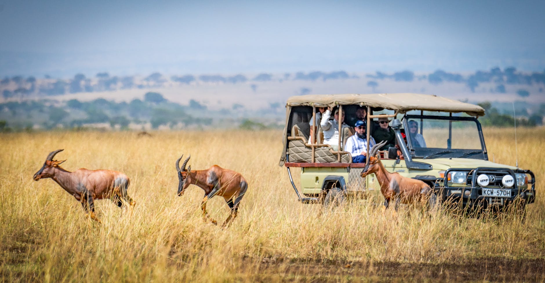 Masai Mara, Kenya
