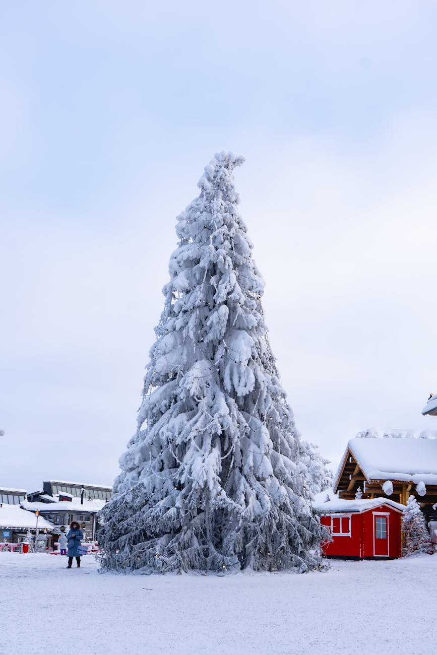 Santa Claus Village — Finland