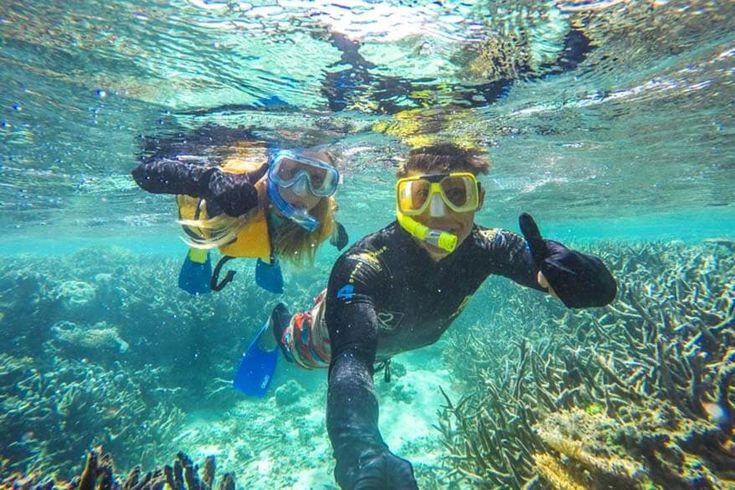 Great Barrier Reef snorkel day