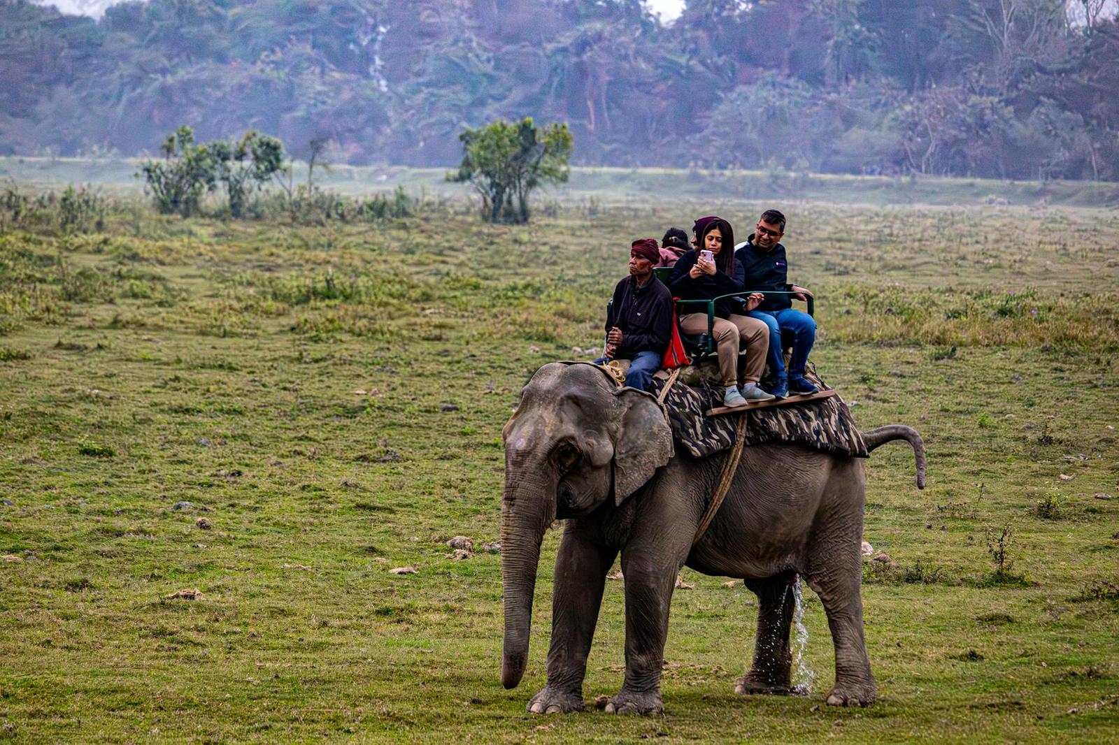 Three people riding atop an elephant crossing an open grassy field