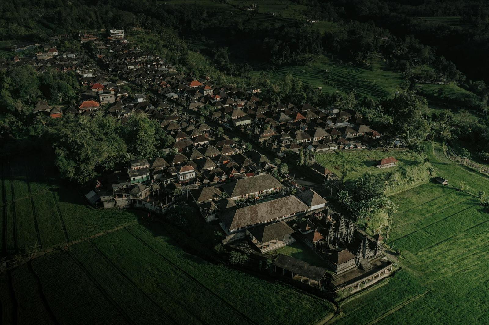 A stunning aerial view of a traditional village surrounded by lush green fields in Bali, Indonesia
