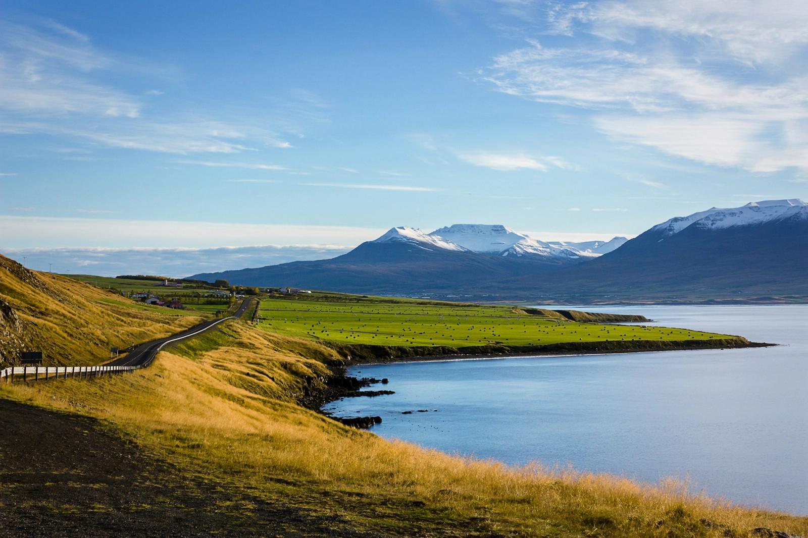A coastal road along green farmland beneath snow-dusted mountains
