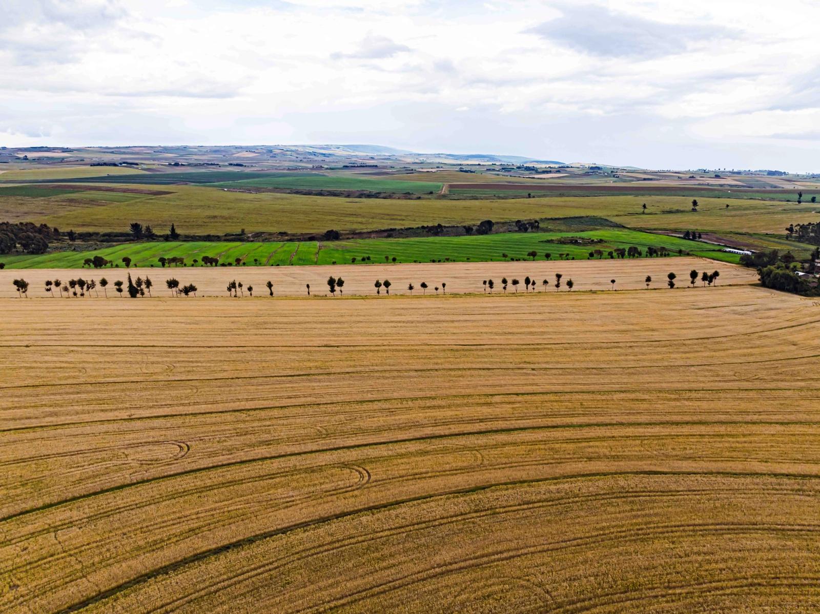 Breathtaking aerial view of expansive fields in Mau Narok, Nakuru County, Kenya