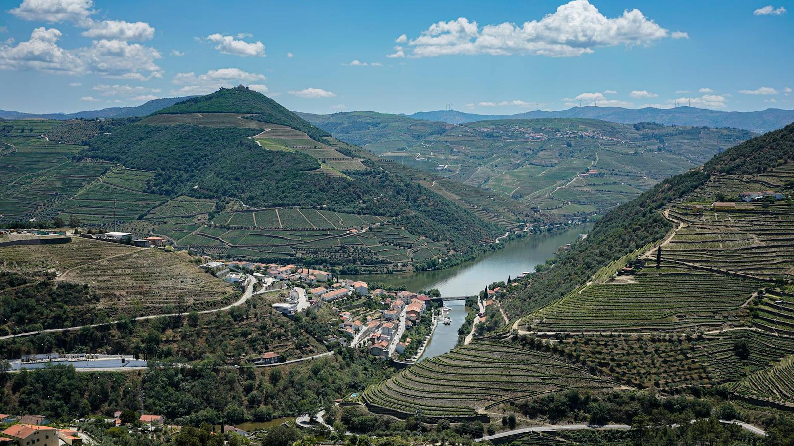 Douro Valley Wine Tasting, Spain + Portugal