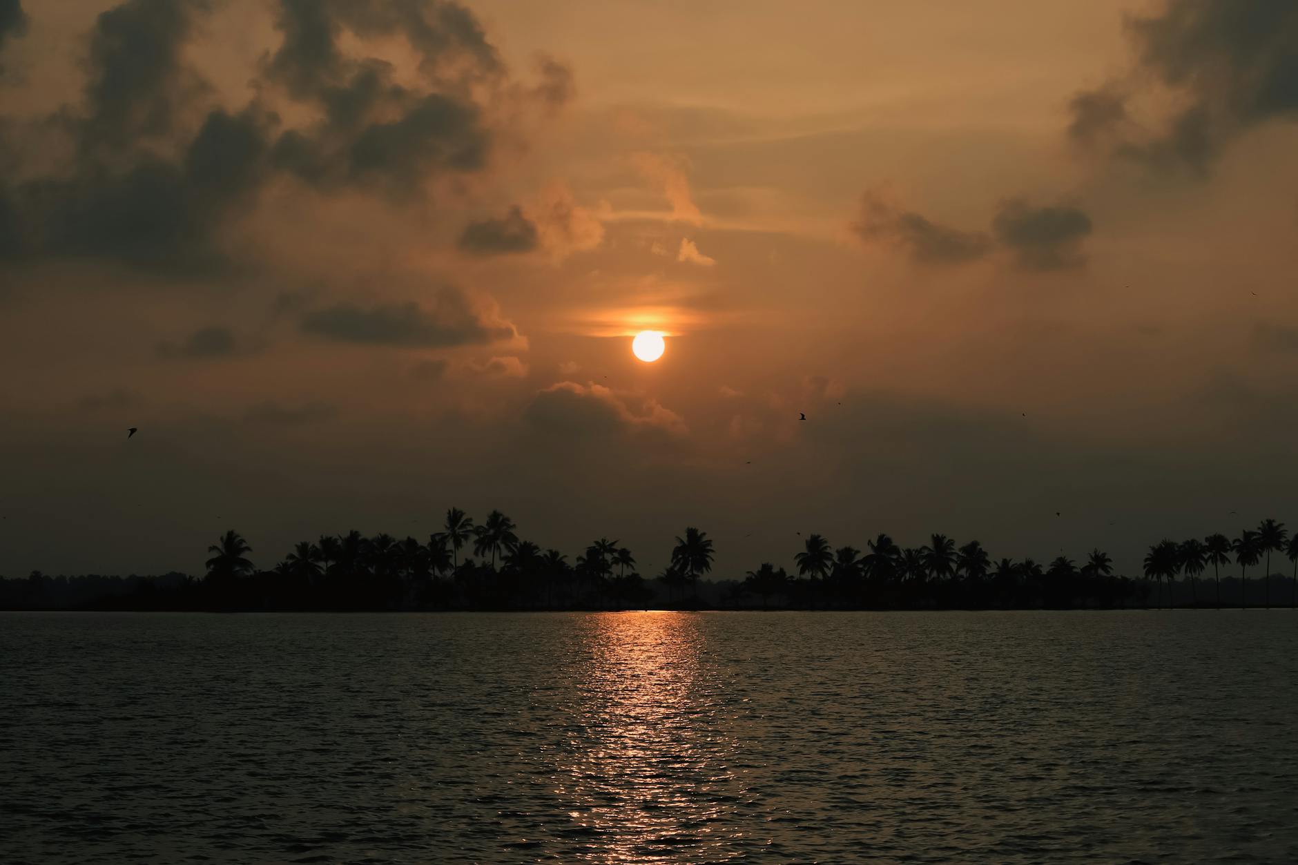 India at golden hour