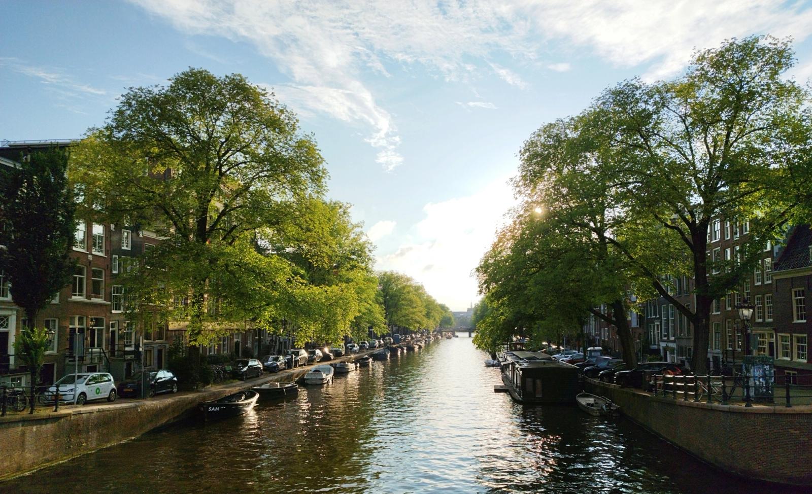 A tree-lined canal with moored boats between rows of townhouses
