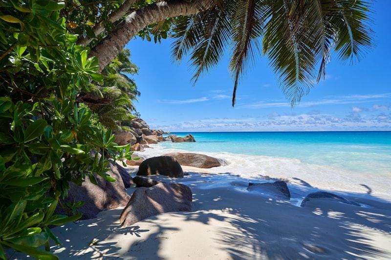 La Digue bicycle Seychelles