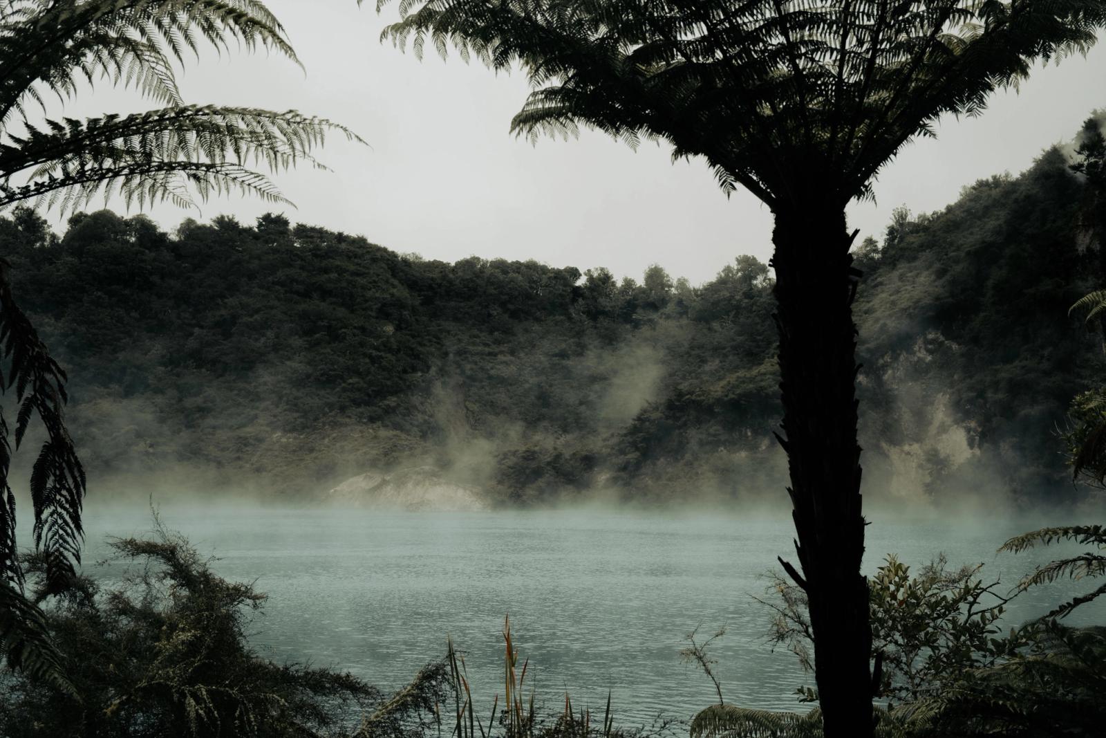 Mist rising over the geothermal lake with lush greenery in Rotorua, New Zealand