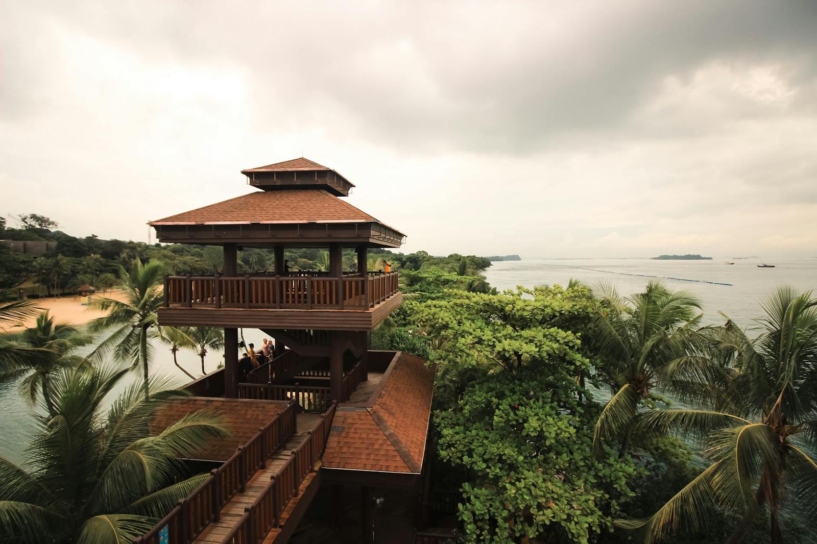Wooden lookout tower with a boardwalk overlooking the coastline