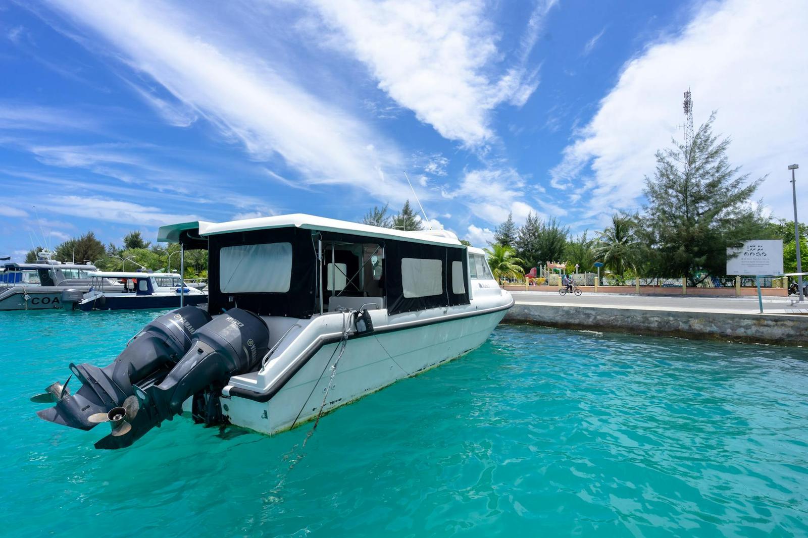 A white water taxi moored near a palm-lined jetty