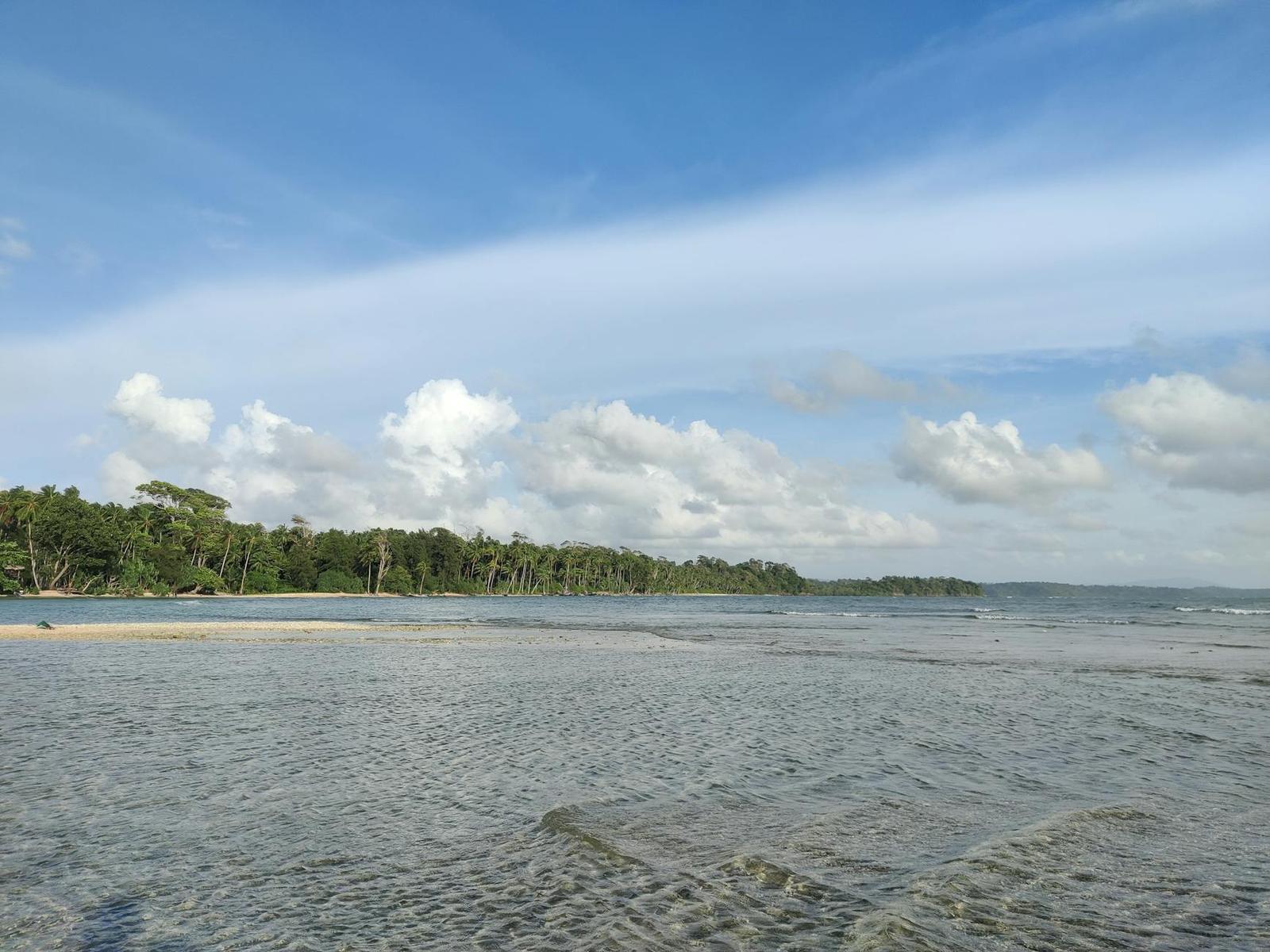 Tranquil beachfront landscape in Andaman with clear skies and lush greenery