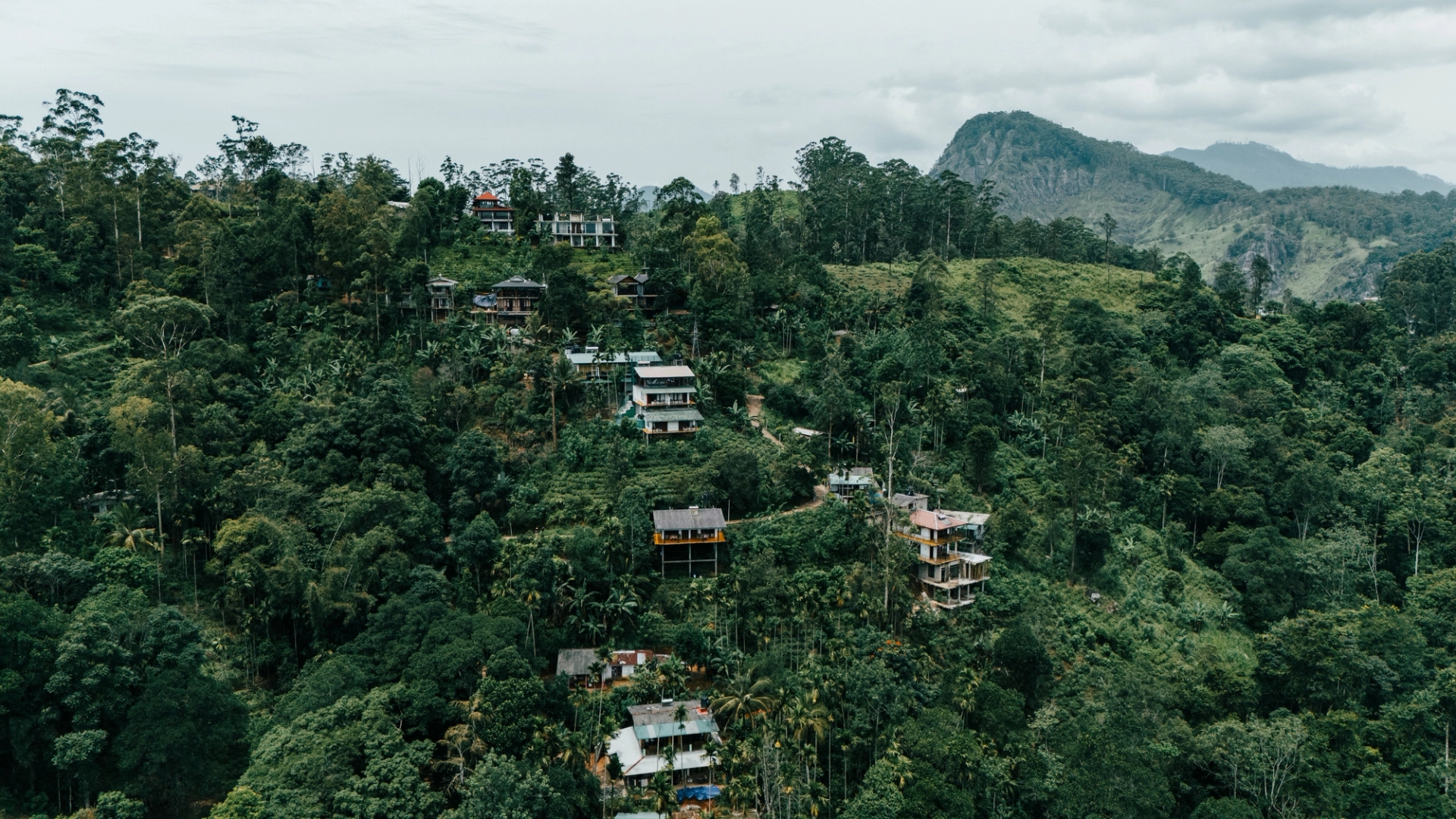 Aerial view of a verdant hillside village nestled in the lush foliage of Sri Lanka's countryside