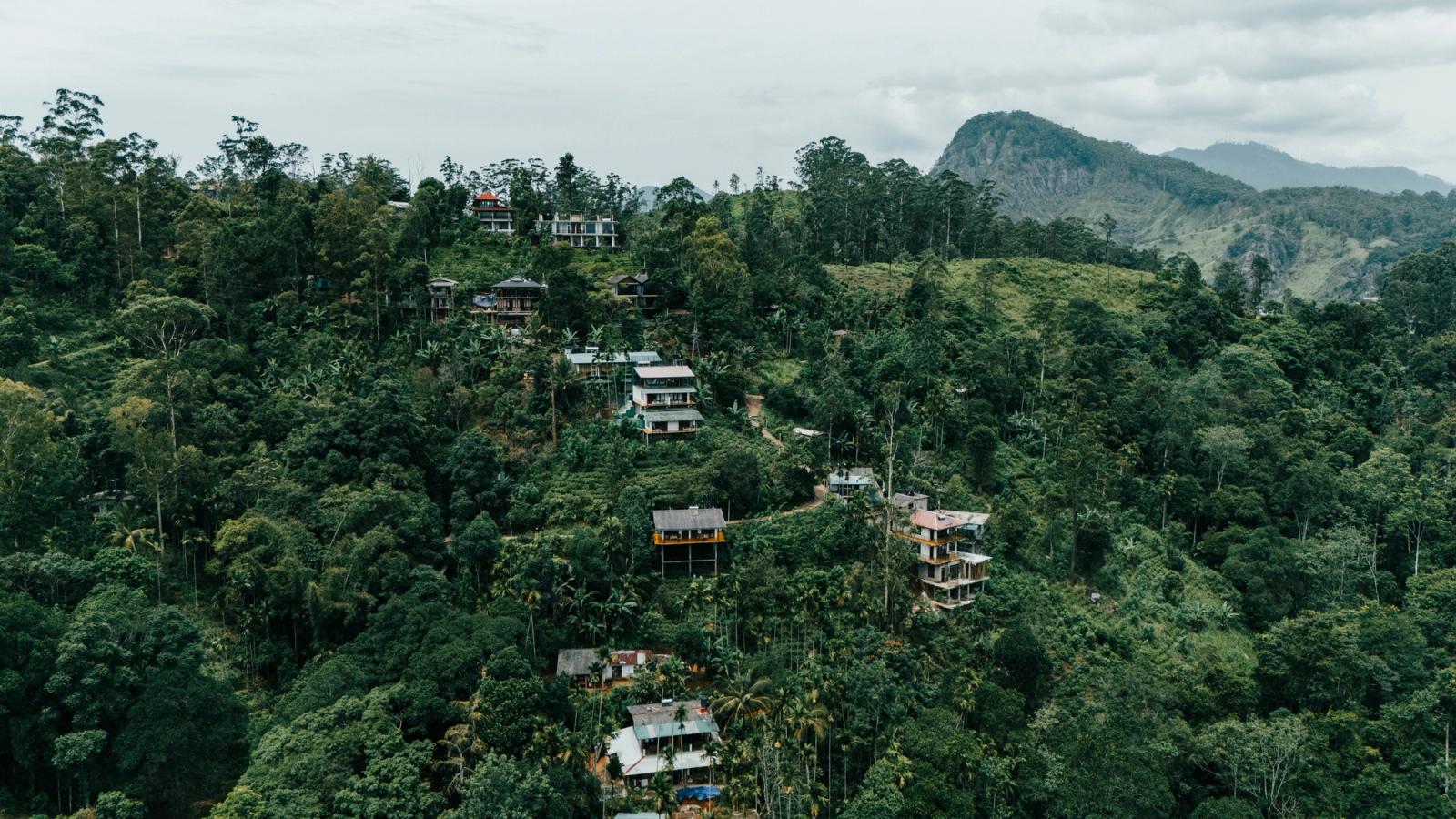 Aerial view of a verdant hillside village nestled in the lush foliage of Sri Lanka's countryside