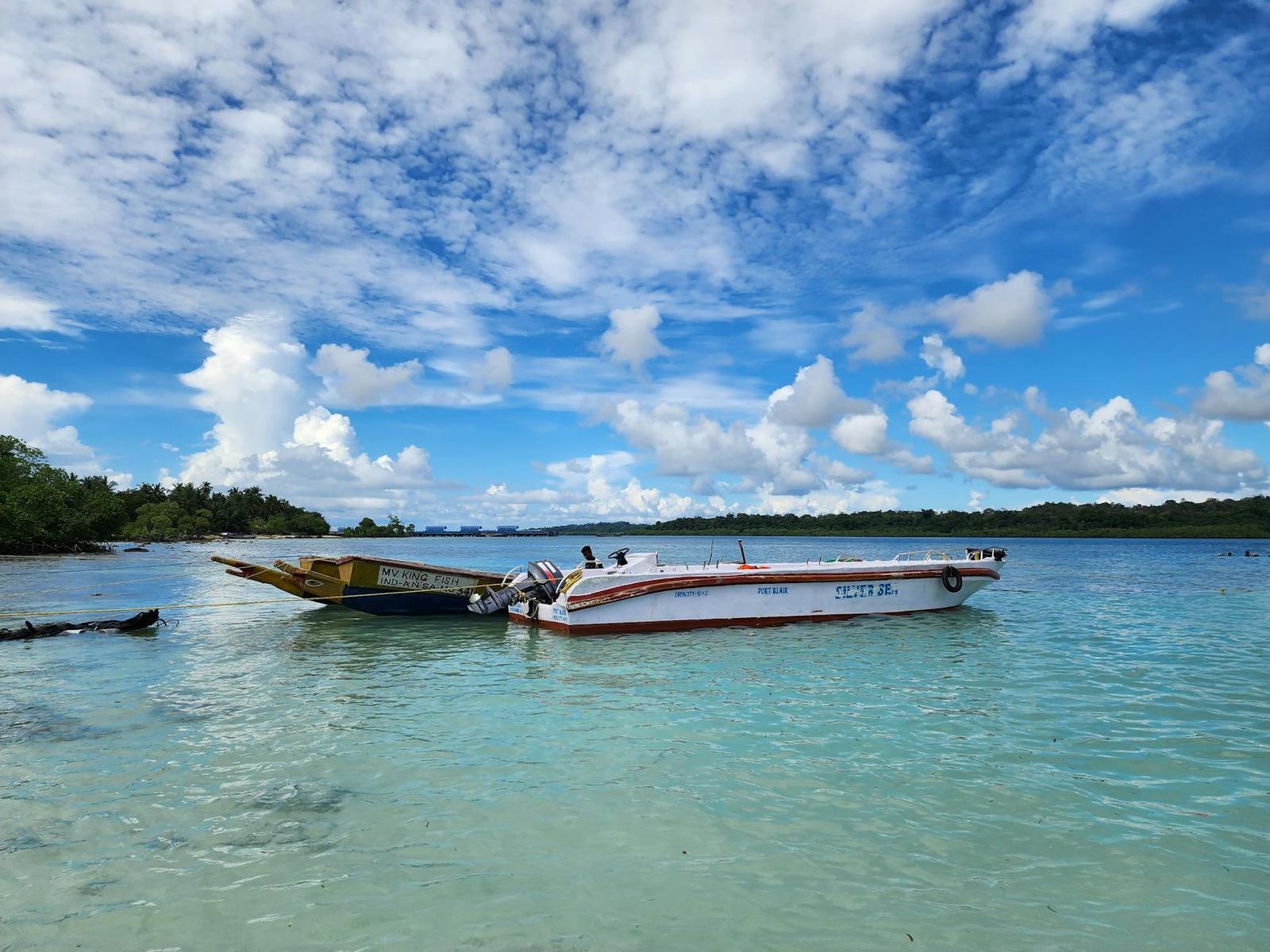 Two small boats anchored in clear shallow water near a mangrove shoreline