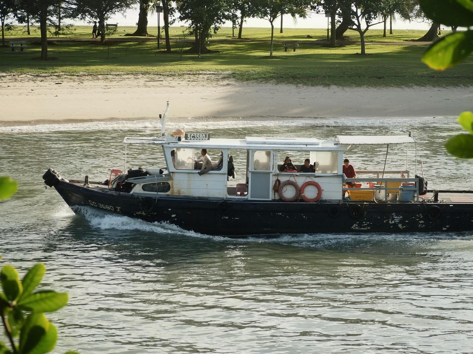 Small tour boat with passengers cruising near a grassy park shoreline