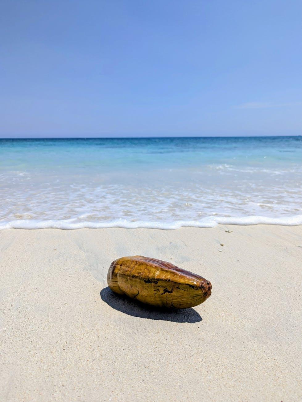 Havelock swaraj Dweep Neil — Andamans, India