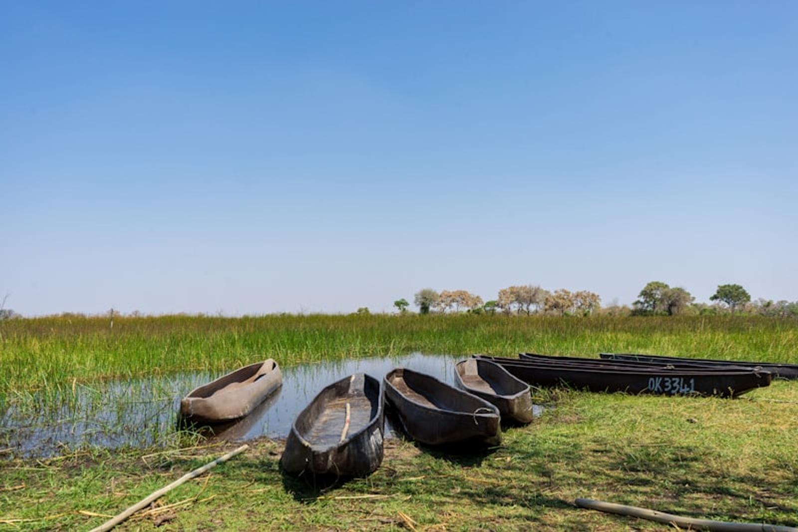 Delta camp Botswana