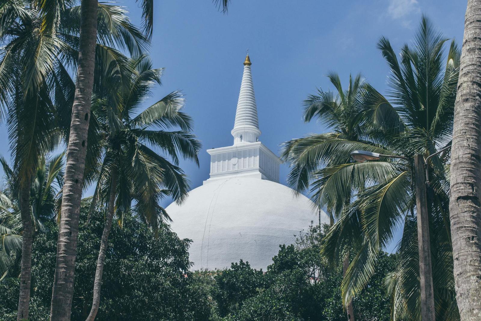 White bell-shaped stupa rising above a grove of palm trees under blue sky