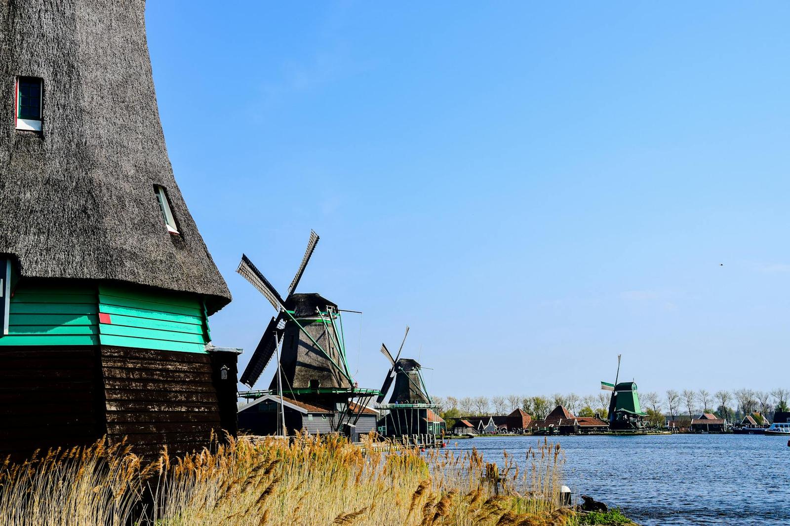 Thatched cottage beside a row of windmills along a waterway