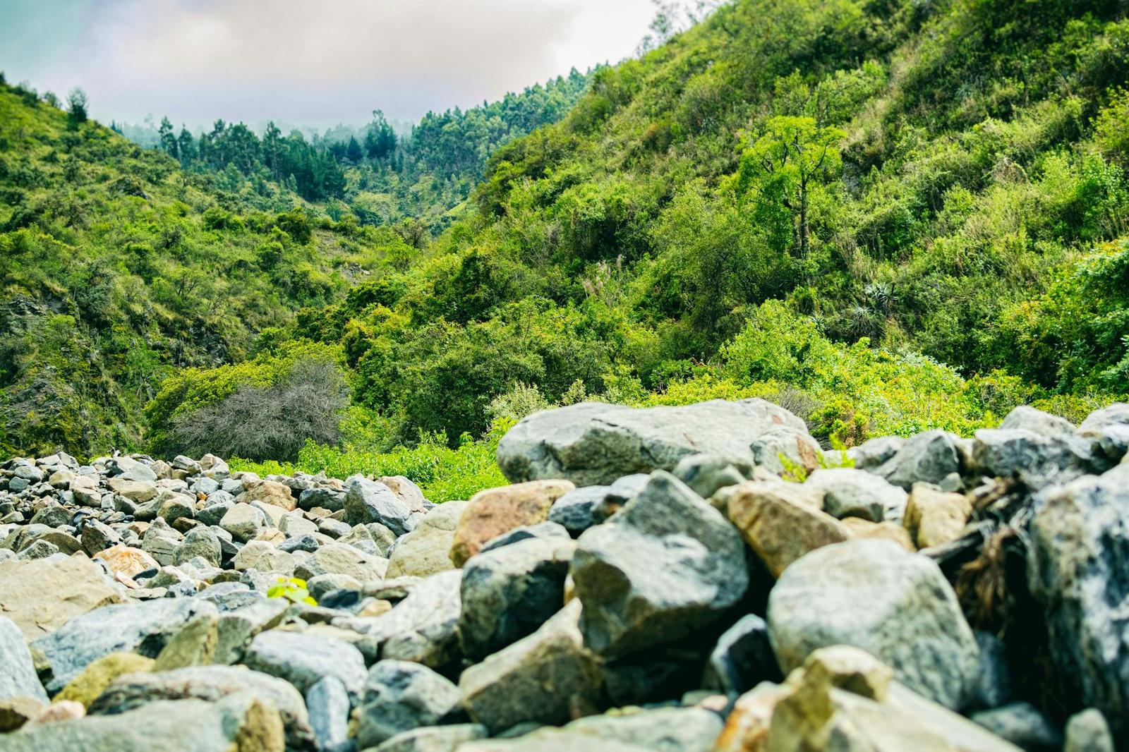 Boulder-strewn riverbed leading into a lush green valley