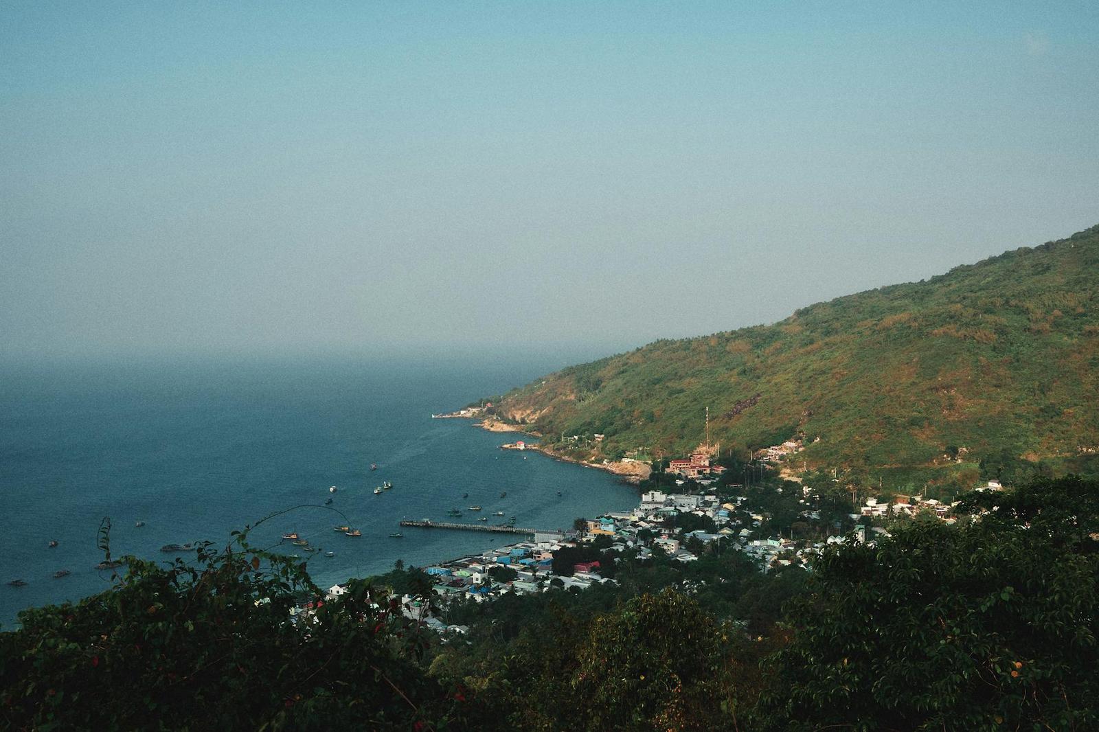 Hillside overlook of a small fishing harbour tucked into a green coastal headland