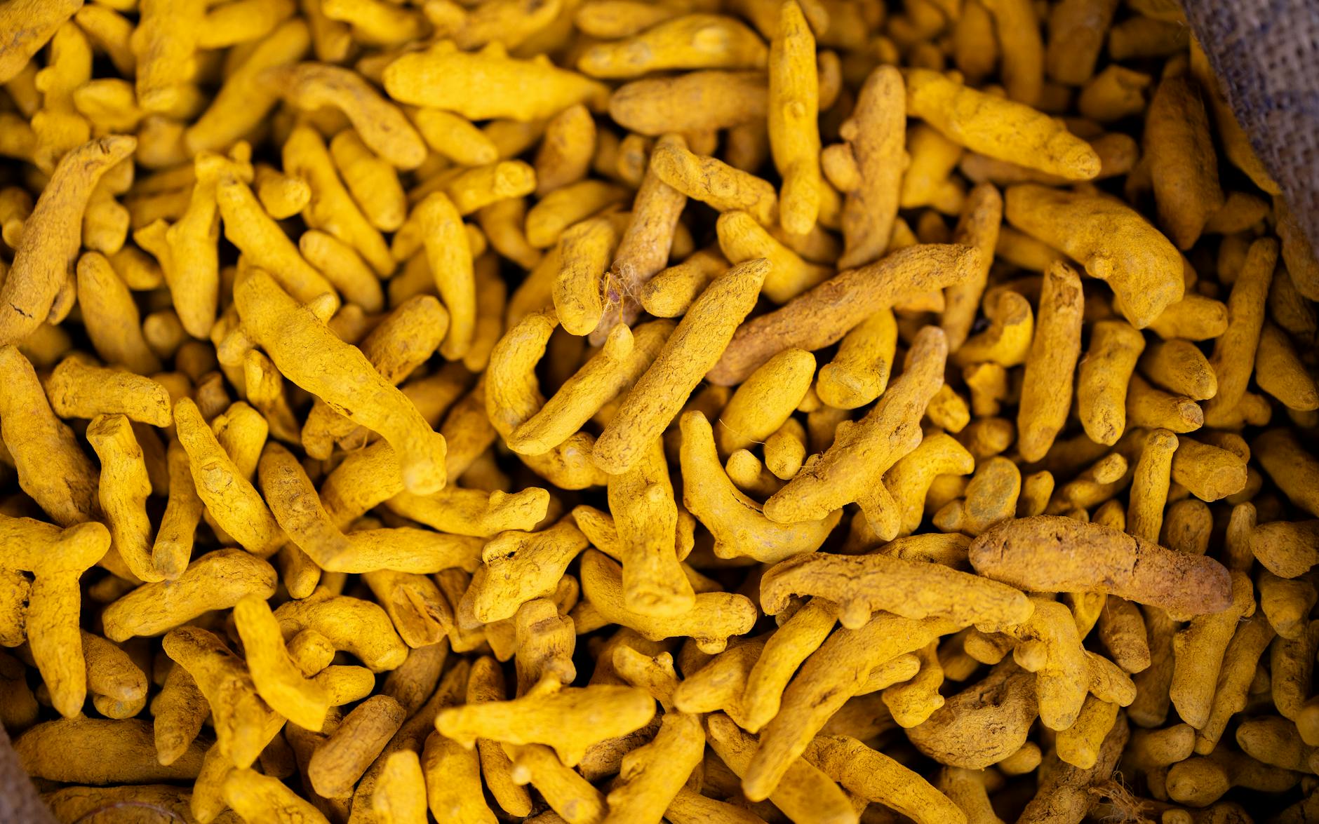 Traditional food of India