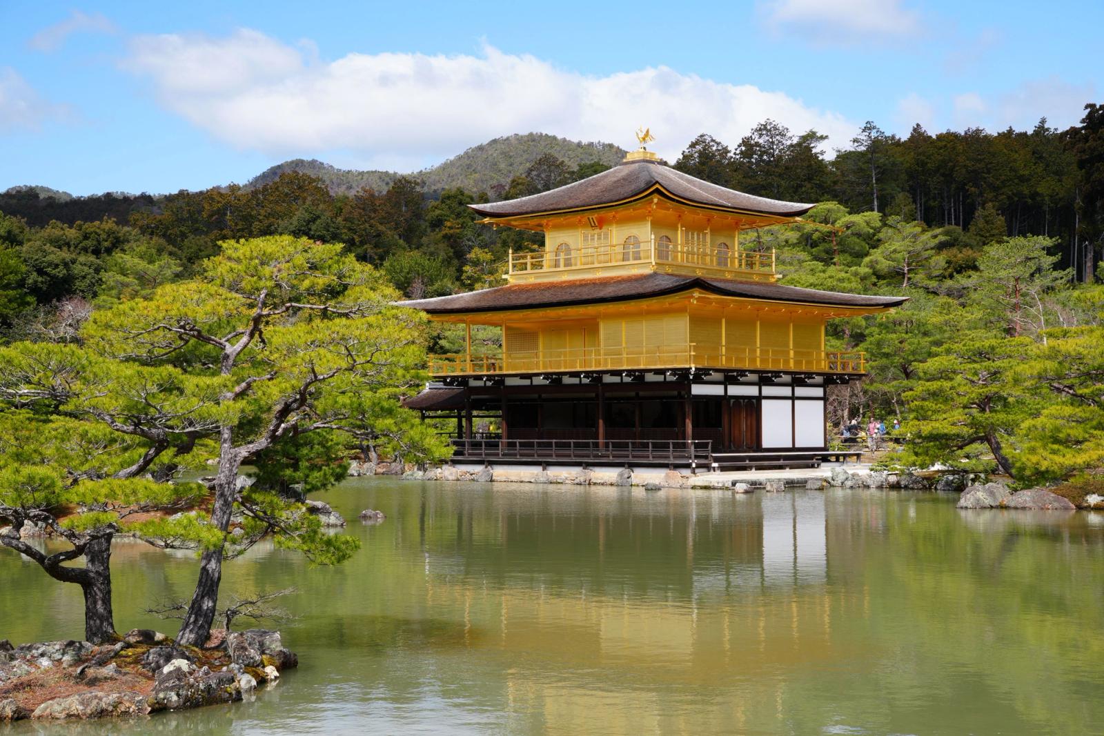 The Golden Pavilion reflected in a still pond surrounded by pines