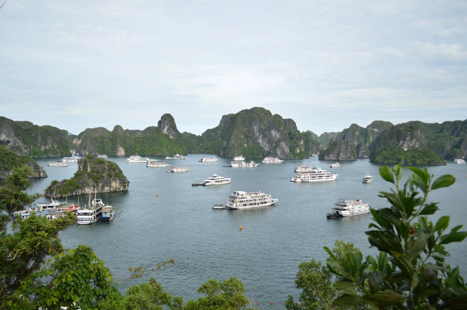 Discover the stunning Halong Bay with cruise ships, limestone karst islands, and lush greenery
