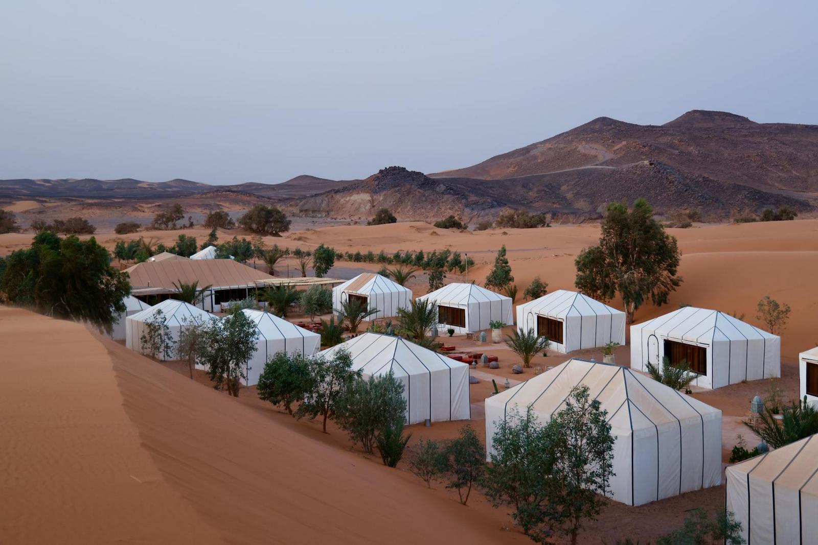 Desert Safari Oasis Camp, UAE