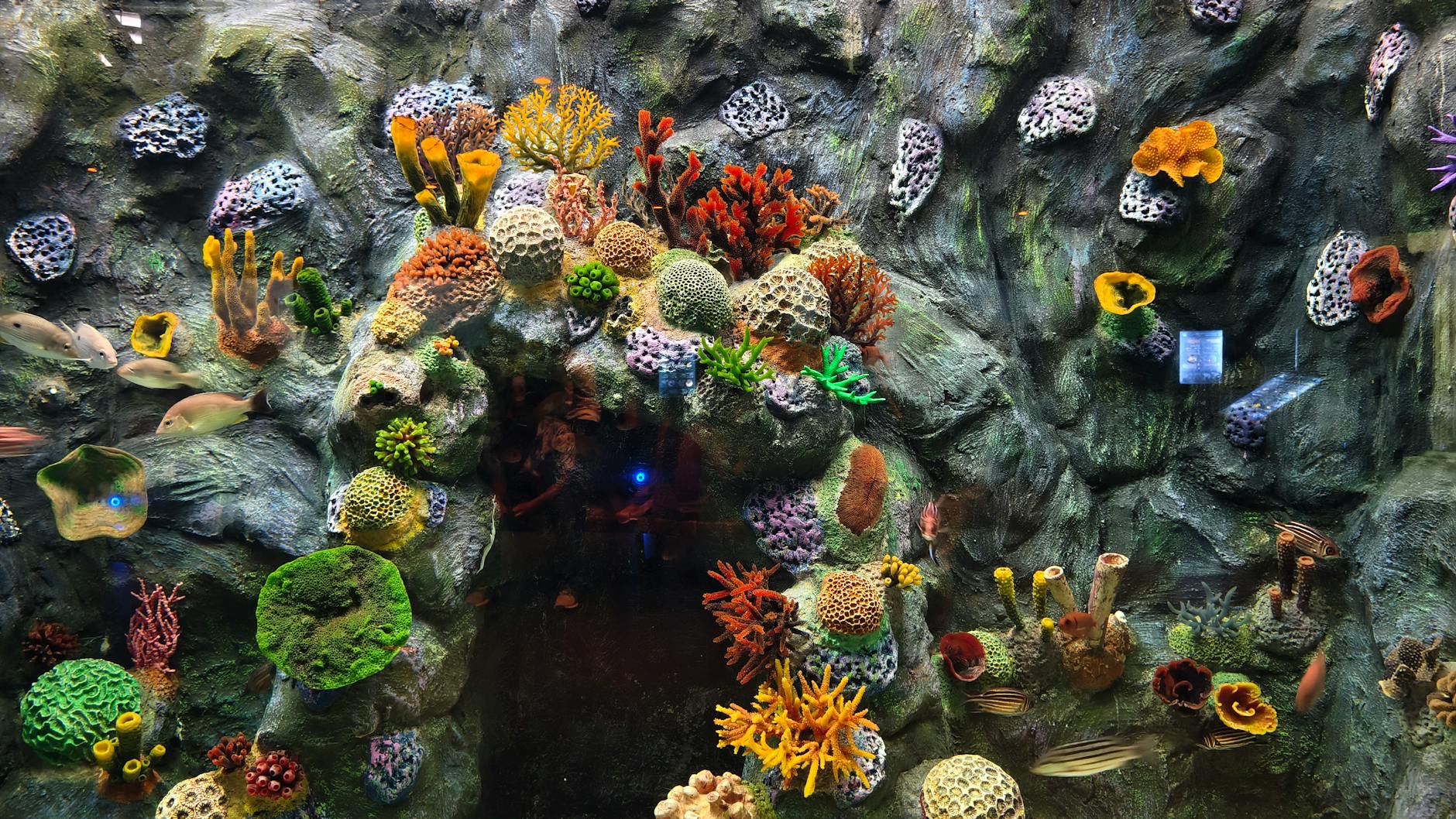 Sea Life under — Bangkok, Thailand