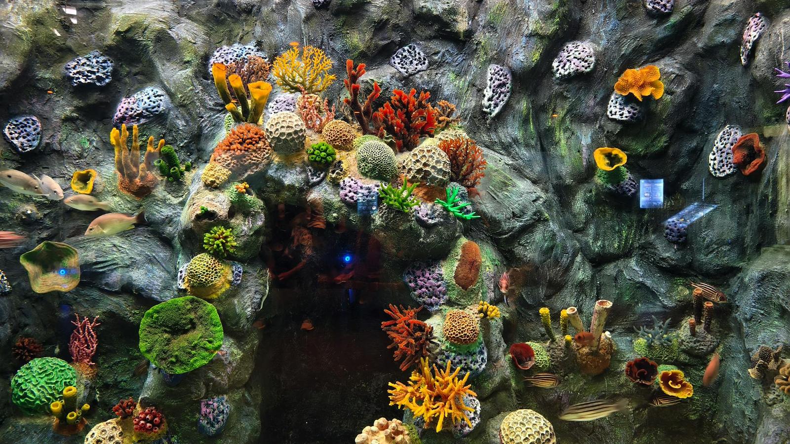 Sea Life under — Bangkok, Thailand