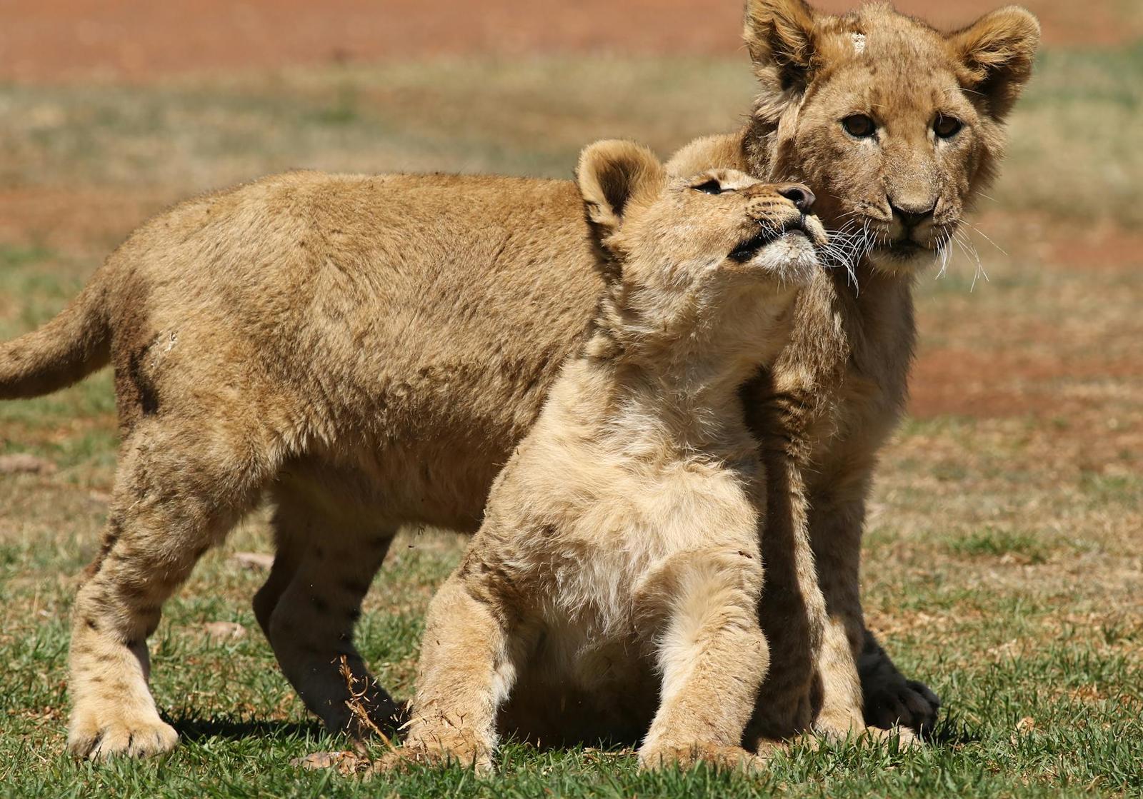 Johannesburg, South Africa