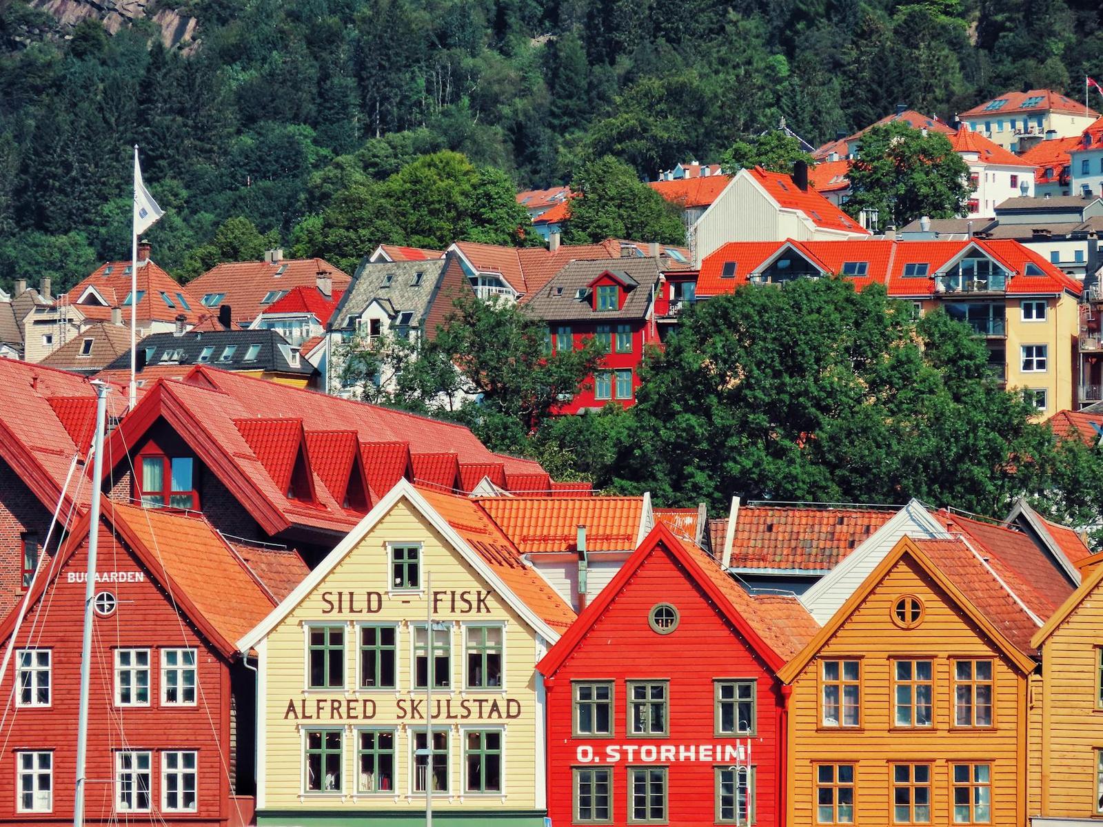 Rows of red and yellow gabled wooden warehouses against a wooded hillside town