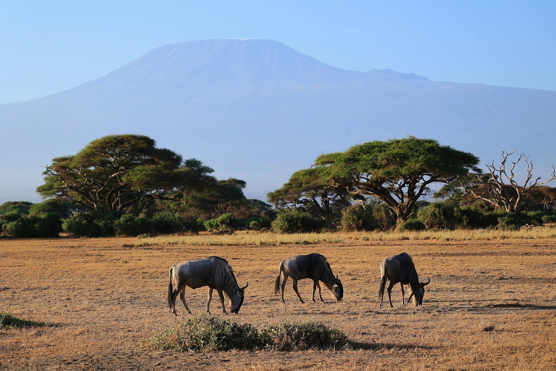 Day Of Wilderness Wonders on day 3, Kenya
