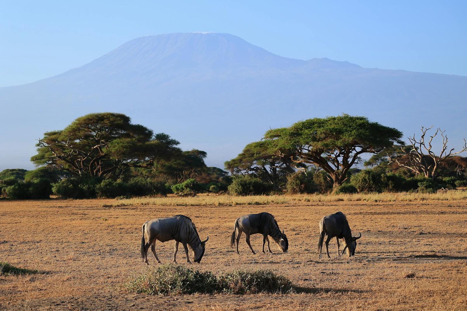 Day Of Wilderness Wonders on day 3, Kenya
