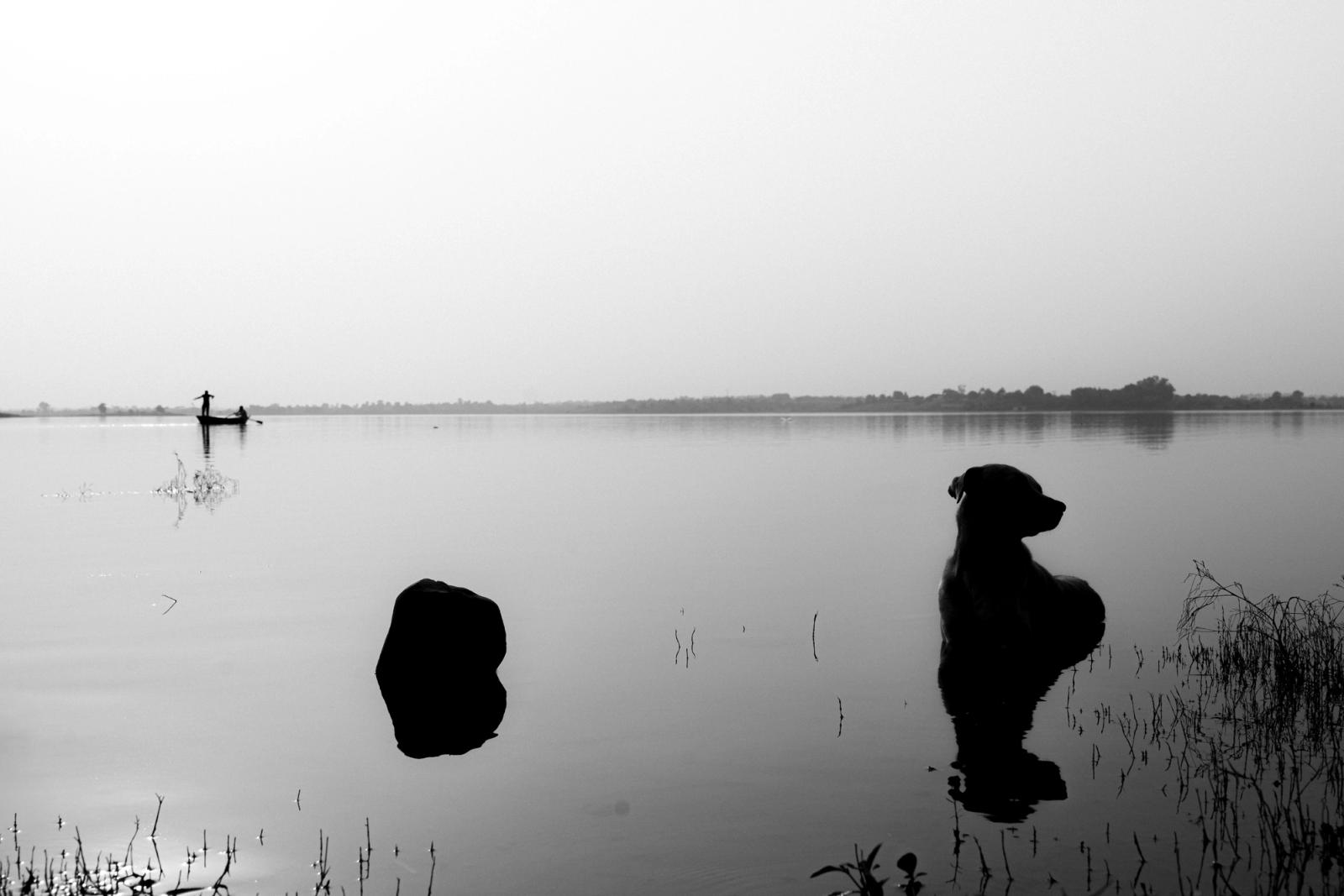 Black and white image capturing a tranquil lake with a dog's silhouette in Bhopal, India