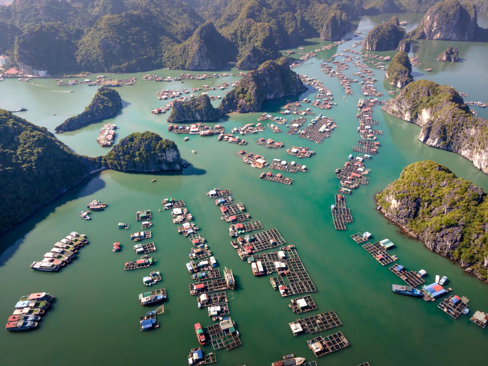 Stunning aerial view of floating villages amidst limestone islands in a serene green bay