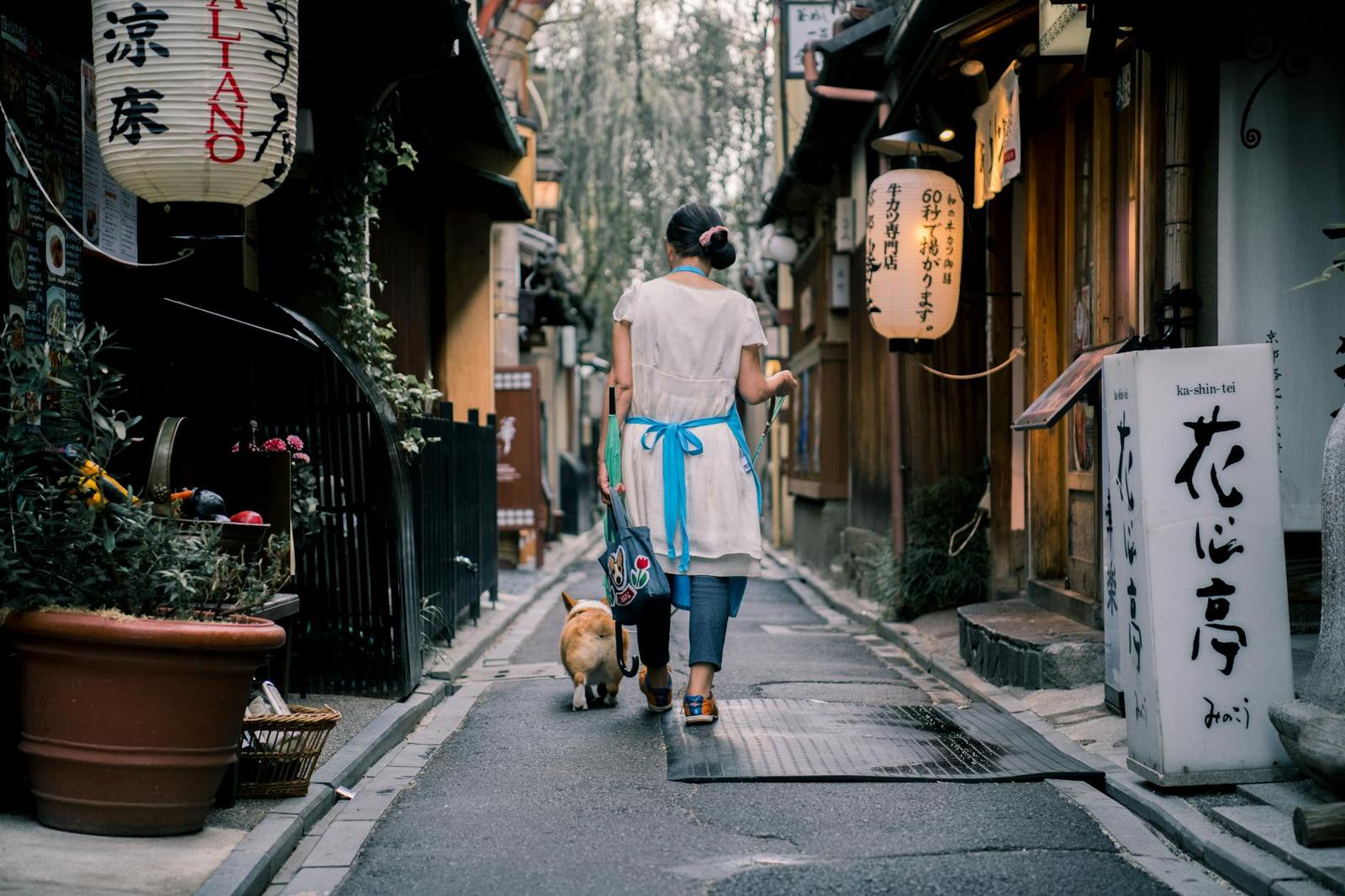 An Asian woman walks her dog through a traditional Kyoto alley, surrounded by lanterns and wooden houses